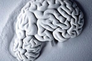 Read more about the article دستورالعمل های جدیدی برای تعیین مرگ مغزی صادر شده است