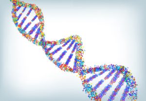 Read more about the article NIH تلاش 140 میلیون دلاری را برای مطالعه تغییرات ژنتیکی در سلول ها و بافت های طبیعی انسان آغاز می کند
